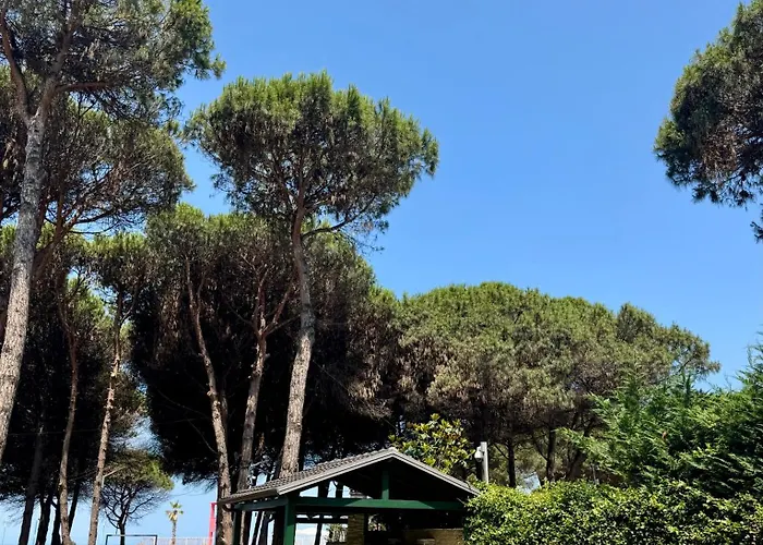 Prázdninový dům Casa Dei Pini Blu Golem (Tirana)