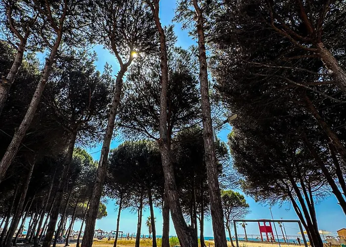 Casa Dei Pini Blu Prázdninový dům Golem (Tirana)